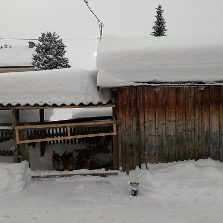 Haus Gell Otel Mauterndorf  Dış mekan fotoğraf