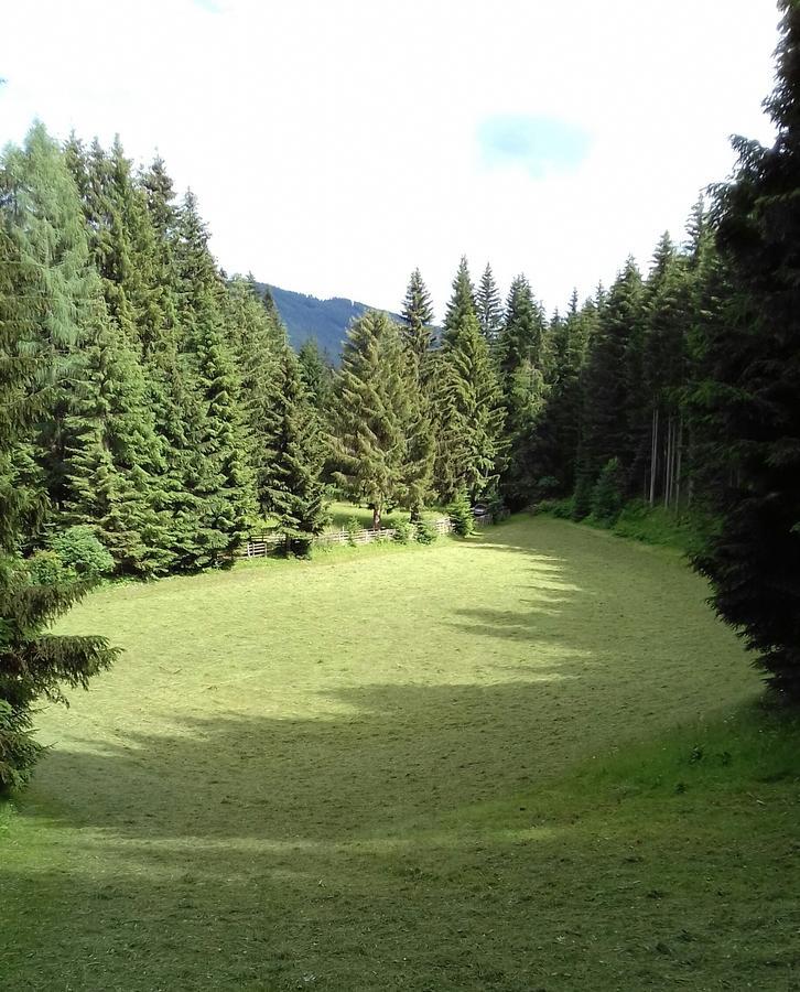 Haus Gell Otel Mauterndorf  Dış mekan fotoğraf